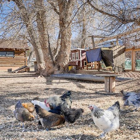 Cozy Parowan Studio 12 Mi To Brian Head Resort! Exterior photo